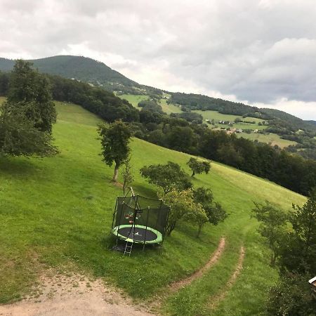 Hebergement Du Chene Fréland Exteriér fotografie